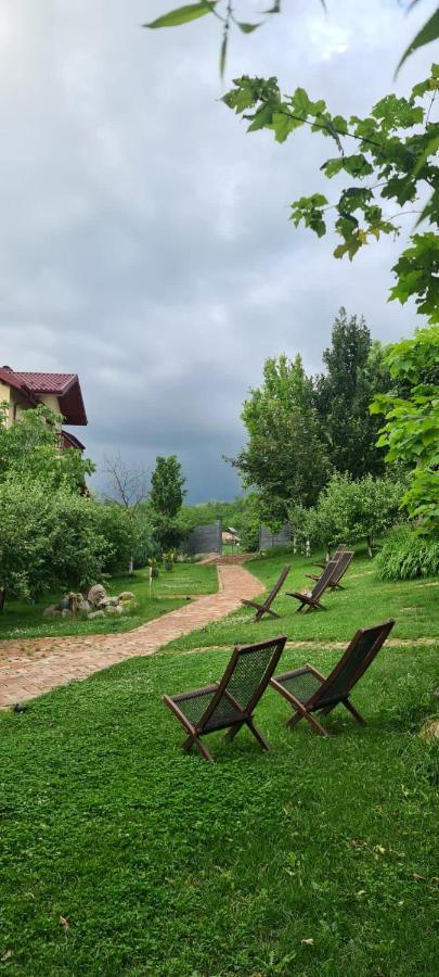 Enpi Lake Resort Iasi Eksteriør bilde